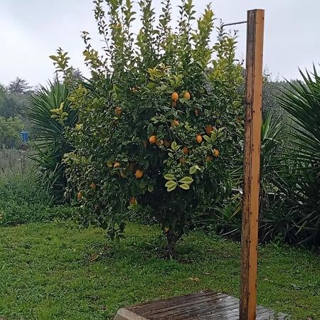 Quinta Do Americano Sardoal Bagian luar foto